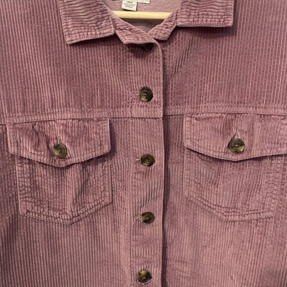 AMERICAN EAGLE Purple Cotton Cropped Distressed Corduroy Jacket Size Small - Picture 2 of 7
